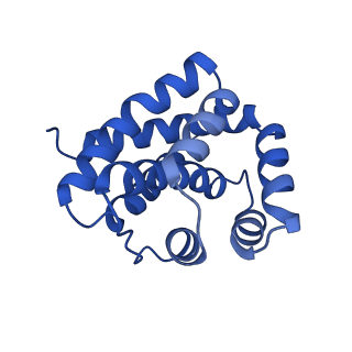 10197_6shb_B_v1-2
Cryo-EM structure of the Type III-B Cmr-beta bound to cognate target RNA and AMPPnP, state 1, in the presence of ssDNA