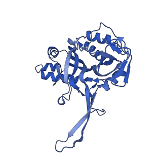 10197_6shb_E_v1-2
Cryo-EM structure of the Type III-B Cmr-beta bound to cognate target RNA and AMPPnP, state 1, in the presence of ssDNA