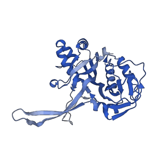 10197_6shb_F_v1-2
Cryo-EM structure of the Type III-B Cmr-beta bound to cognate target RNA and AMPPnP, state 1, in the presence of ssDNA