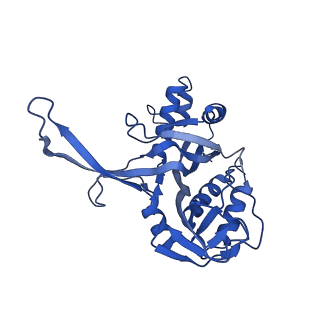 10197_6shb_G_v1-2
Cryo-EM structure of the Type III-B Cmr-beta bound to cognate target RNA and AMPPnP, state 1, in the presence of ssDNA