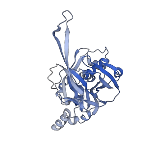 10197_6shb_H_v1-2
Cryo-EM structure of the Type III-B Cmr-beta bound to cognate target RNA and AMPPnP, state 1, in the presence of ssDNA