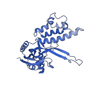 10197_6shb_I_v1-2
Cryo-EM structure of the Type III-B Cmr-beta bound to cognate target RNA and AMPPnP, state 1, in the presence of ssDNA