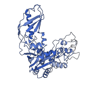 10197_6shb_J_v1-2
Cryo-EM structure of the Type III-B Cmr-beta bound to cognate target RNA and AMPPnP, state 1, in the presence of ssDNA
