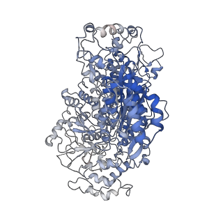 10197_6shb_K_v1-2
Cryo-EM structure of the Type III-B Cmr-beta bound to cognate target RNA and AMPPnP, state 1, in the presence of ssDNA
