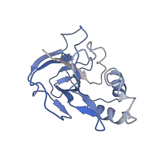 10197_6shb_M_v1-2
Cryo-EM structure of the Type III-B Cmr-beta bound to cognate target RNA and AMPPnP, state 1, in the presence of ssDNA