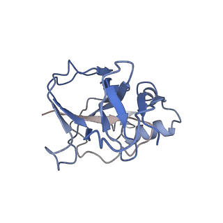 10197_6shb_P_v1-2
Cryo-EM structure of the Type III-B Cmr-beta bound to cognate target RNA and AMPPnP, state 1, in the presence of ssDNA