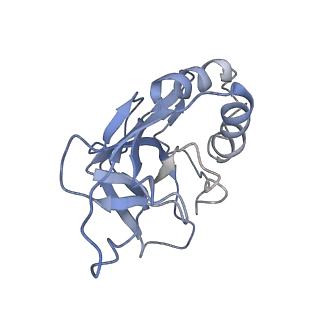 10197_6shb_Q_v1-2
Cryo-EM structure of the Type III-B Cmr-beta bound to cognate target RNA and AMPPnP, state 1, in the presence of ssDNA