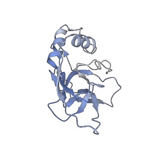 10197_6shb_R_v1-2
Cryo-EM structure of the Type III-B Cmr-beta bound to cognate target RNA and AMPPnP, state 1, in the presence of ssDNA