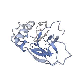 10197_6shb_S_v1-2
Cryo-EM structure of the Type III-B Cmr-beta bound to cognate target RNA and AMPPnP, state 1, in the presence of ssDNA