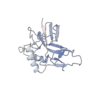 10197_6shb_T_v1-2
Cryo-EM structure of the Type III-B Cmr-beta bound to cognate target RNA and AMPPnP, state 1, in the presence of ssDNA