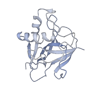10197_6shb_W_v1-2
Cryo-EM structure of the Type III-B Cmr-beta bound to cognate target RNA and AMPPnP, state 1, in the presence of ssDNA