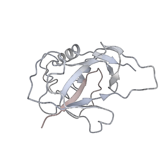 10197_6shb_X_v1-2
Cryo-EM structure of the Type III-B Cmr-beta bound to cognate target RNA and AMPPnP, state 1, in the presence of ssDNA