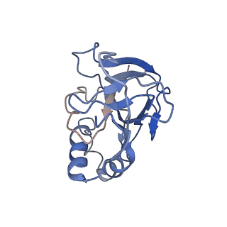 10197_6shb_l_v1-2
Cryo-EM structure of the Type III-B Cmr-beta bound to cognate target RNA and AMPPnP, state 1, in the presence of ssDNA