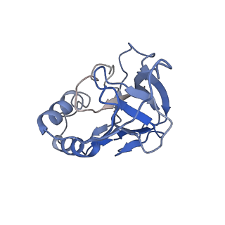 10197_6shb_m_v1-2
Cryo-EM structure of the Type III-B Cmr-beta bound to cognate target RNA and AMPPnP, state 1, in the presence of ssDNA