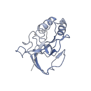 10197_6shb_o_v1-2
Cryo-EM structure of the Type III-B Cmr-beta bound to cognate target RNA and AMPPnP, state 1, in the presence of ssDNA