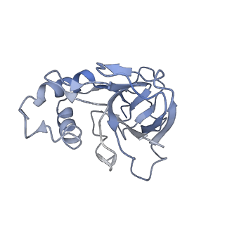 10197_6shb_q_v1-2
Cryo-EM structure of the Type III-B Cmr-beta bound to cognate target RNA and AMPPnP, state 1, in the presence of ssDNA