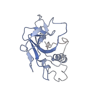 10197_6shb_s_v1-2
Cryo-EM structure of the Type III-B Cmr-beta bound to cognate target RNA and AMPPnP, state 1, in the presence of ssDNA