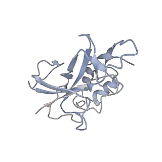 10197_6shb_w_v1-2
Cryo-EM structure of the Type III-B Cmr-beta bound to cognate target RNA and AMPPnP, state 1, in the presence of ssDNA