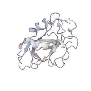 10197_6shb_x_v1-2
Cryo-EM structure of the Type III-B Cmr-beta bound to cognate target RNA and AMPPnP, state 1, in the presence of ssDNA