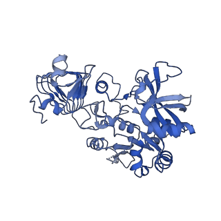 10199_6shj_A_v1-2
Escherichia coli AGPase in complex with FBP. Symmetry applied C2