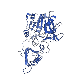 10199_6shj_D_v1-2
Escherichia coli AGPase in complex with FBP. Symmetry applied C2