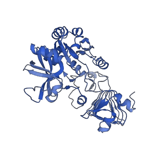 10201_6shn_B_v1-2
Escherichia coli AGPase in complex with FBP. Symmetry C1
