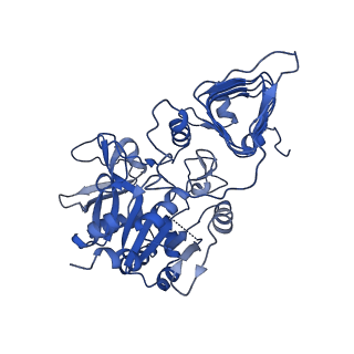 10201_6shn_C_v1-2
Escherichia coli AGPase in complex with FBP. Symmetry C1