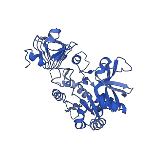 10201_6shn_D_v1-2
Escherichia coli AGPase in complex with FBP. Symmetry C1