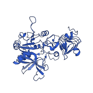10203_6shq_B_v1-1
Escherichia coli AGPase in complex with AMP. Symmetry C2