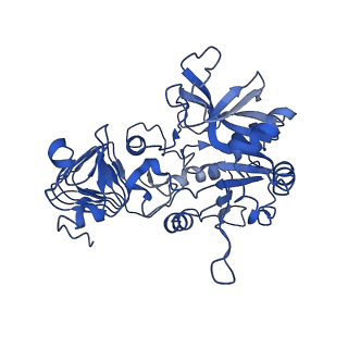 10203_6shq_D_v1-1
Escherichia coli AGPase in complex with AMP. Symmetry C2