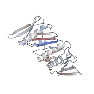 25122_7sh2_F_v1-2
Structure of the yeast Rad24-RFC loader bound to DNA and the open 9-1-1 clamp