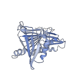 25122_7sh2_G_v1-2
Structure of the yeast Rad24-RFC loader bound to DNA and the open 9-1-1 clamp
