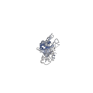 25125_7she_A_v1-0
Cryo-EM structure of human GPR158