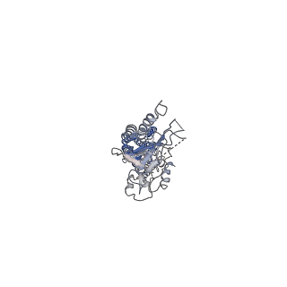 25125_7she_A_v2-0
Cryo-EM structure of human GPR158
