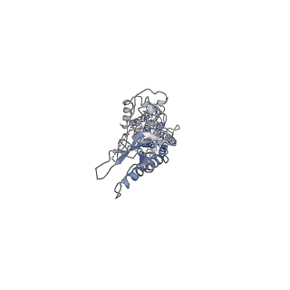 25125_7she_B_v2-0
Cryo-EM structure of human GPR158