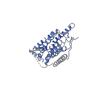 25126_7shf_B_v1-0
Cryo-EM structure of GPR158 coupled to the RGS7-Gbeta5 complex