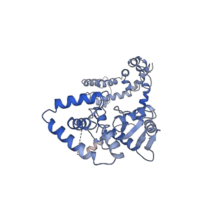 25126_7shf_C_v1-0
Cryo-EM structure of GPR158 coupled to the RGS7-Gbeta5 complex