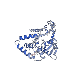 25126_7shf_C_v2-1
Cryo-EM structure of GPR158 coupled to the RGS7-Gbeta5 complex