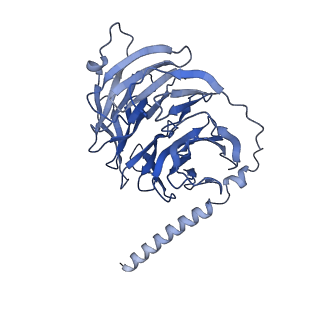 25126_7shf_D_v1-0
Cryo-EM structure of GPR158 coupled to the RGS7-Gbeta5 complex