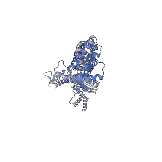 25127_7shk_A_v1-1
Structure of Xenopus laevis CRL2Lrr1 (State 1)