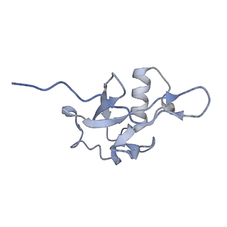 25127_7shk_B_v1-1
Structure of Xenopus laevis CRL2Lrr1 (State 1)