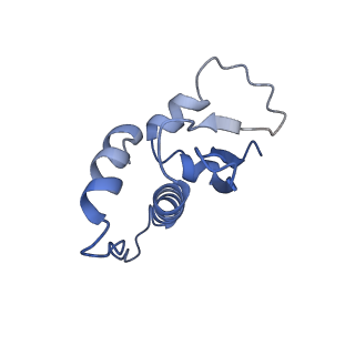 25127_7shk_C_v1-1
Structure of Xenopus laevis CRL2Lrr1 (State 1)