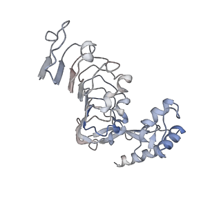 25127_7shk_L_v1-1
Structure of Xenopus laevis CRL2Lrr1 (State 1)
