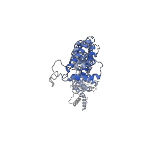 25128_7shl_A_v1-1
Structure of Xenopus laevis CRL2Lrr1 (State 2)