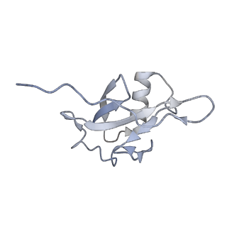 25128_7shl_B_v1-1
Structure of Xenopus laevis CRL2Lrr1 (State 2)