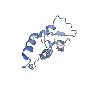 25128_7shl_C_v1-1
Structure of Xenopus laevis CRL2Lrr1 (State 2)