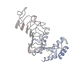 25128_7shl_L_v1-1
Structure of Xenopus laevis CRL2Lrr1 (State 2)