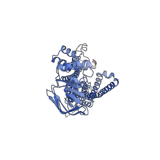 25130_7shm_A_v1-2
Cryo-EM structure of ATP-bound human peroxisomal fatty acid transporter ABCD1