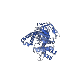 25130_7shm_B_v1-2
Cryo-EM structure of ATP-bound human peroxisomal fatty acid transporter ABCD1