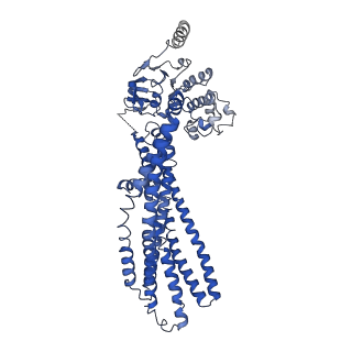 25131_7shn_A_v1-2
Cryo-EM structure of oleoyl-CoA-bound human peroxisomal fatty acid transporter ABCD1